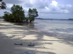 http://id.wikipedia.org/wiki/Pasar_Pulau_Tello,_Pulau-pulau_Batu,_Nias_Selatan